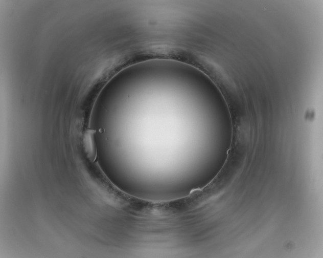 X0000092010739200709061532