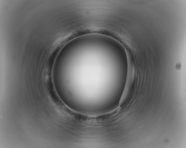 X0000092010740200709061532