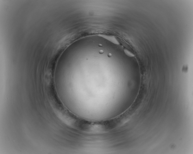 X0000092010741200709061532