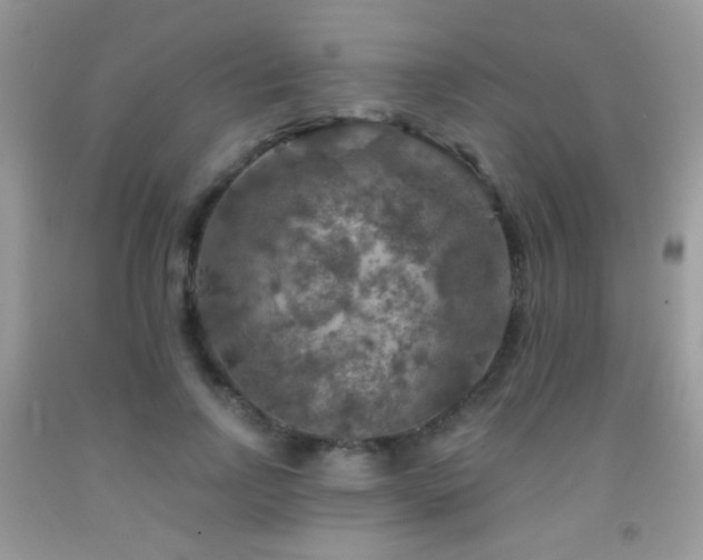 X0000092010742200709061532