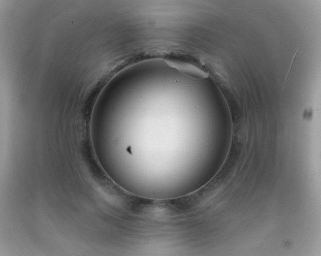 X0000092010743200709061532
