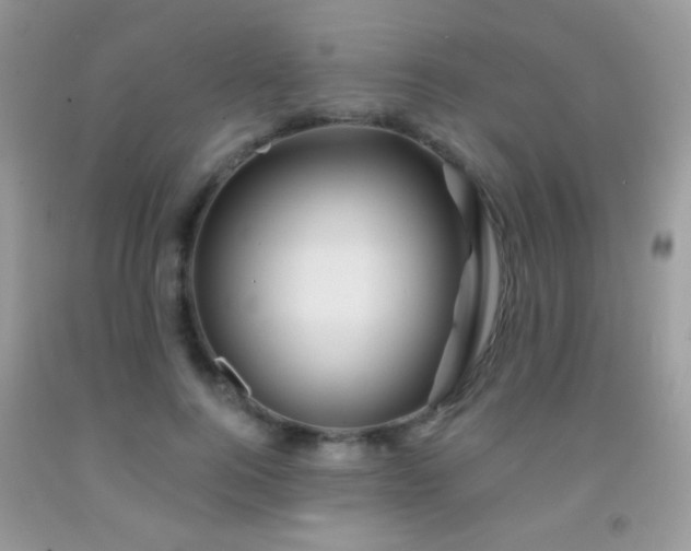 X0000092010744200709061532