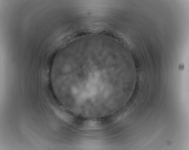 X0000092010745200709061532