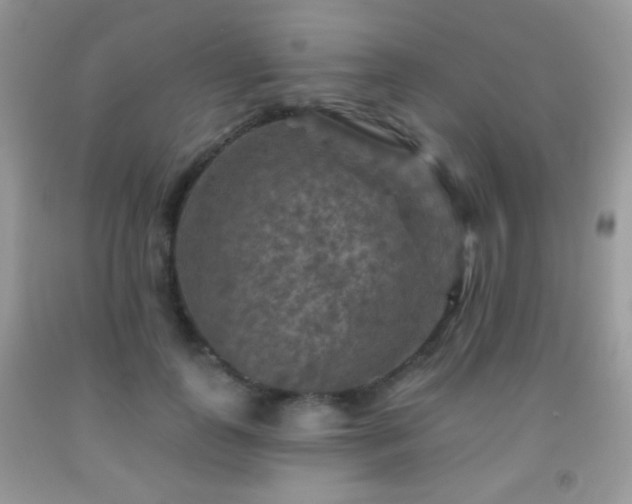 X0000092010747200709061532