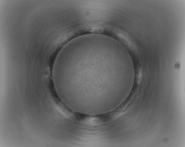 X0000092010748200709061532