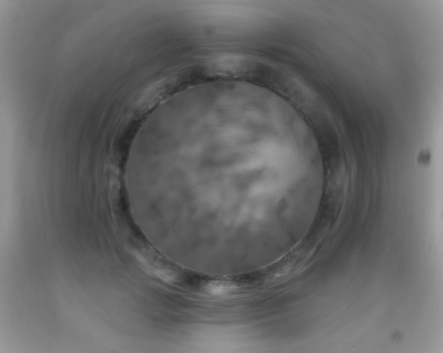 X0000092010749200709061532