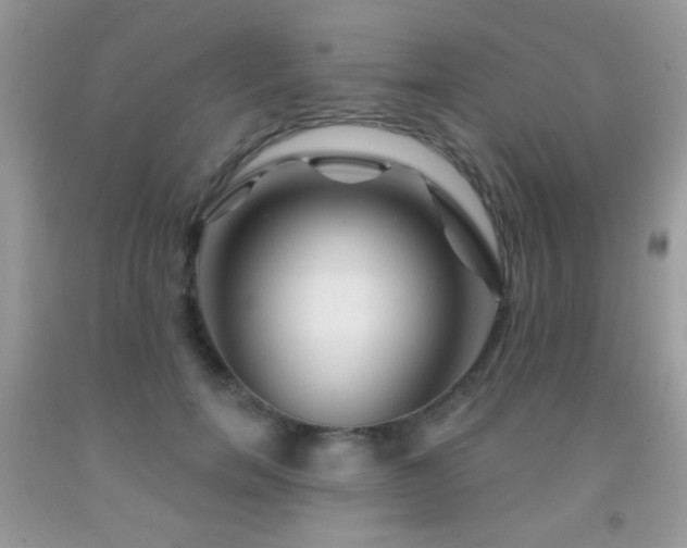 X0000092010750200709061532
