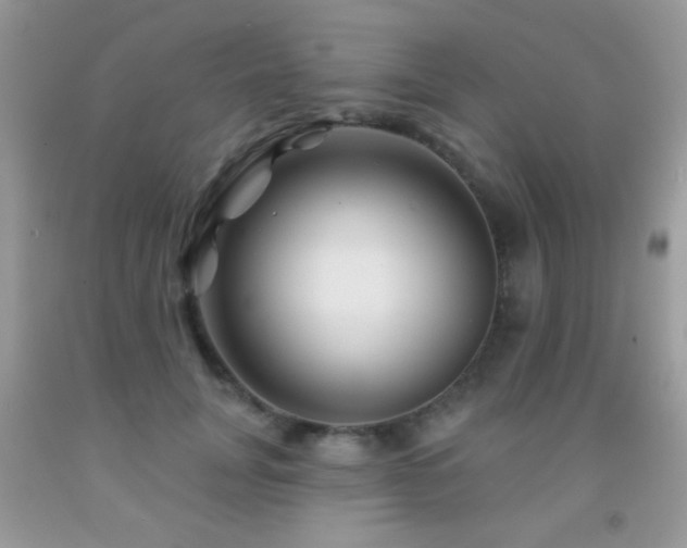 X0000092010751200709061532