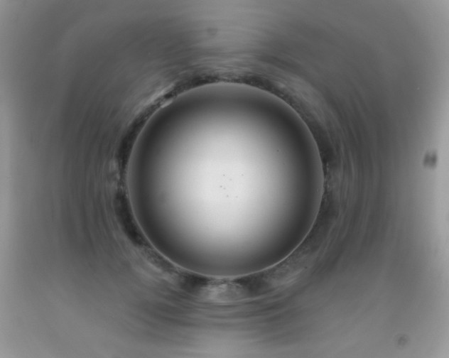 X0000092010752200709061532