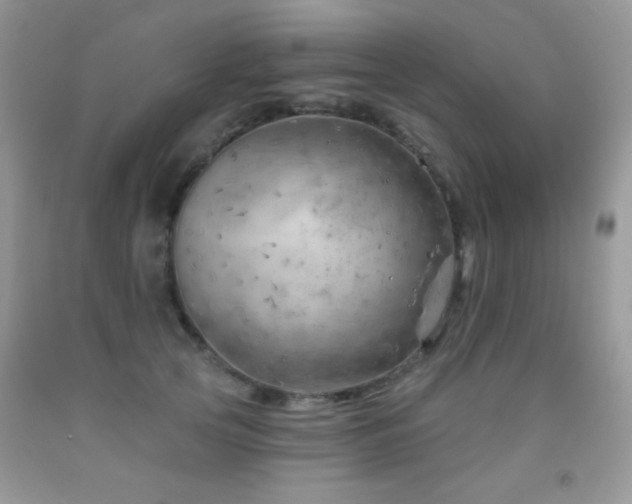 X0000092010753200709061532