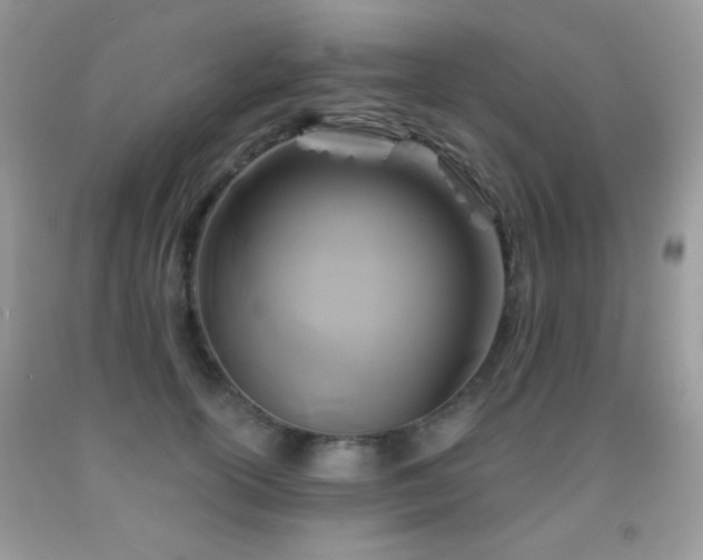X0000092010754200709061532