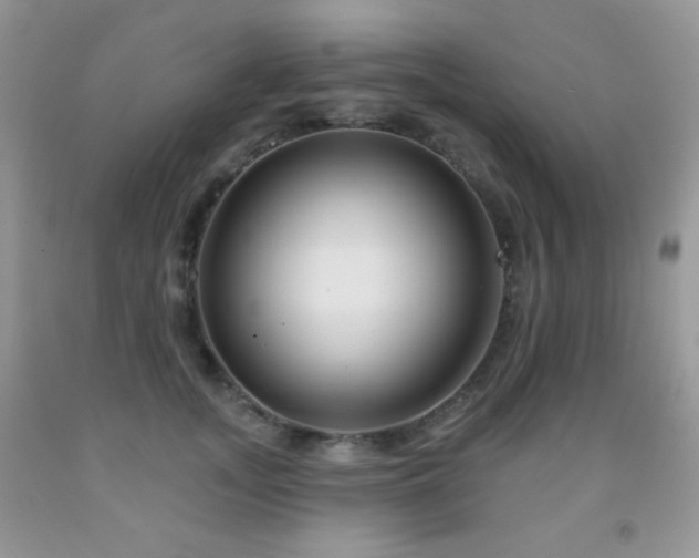 X0000092010755200709061532