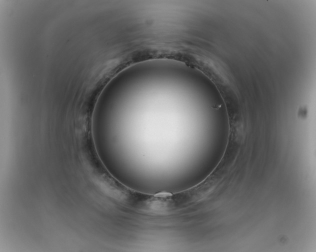 X0000092010756200709061532