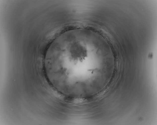 X0000092010757200709061532