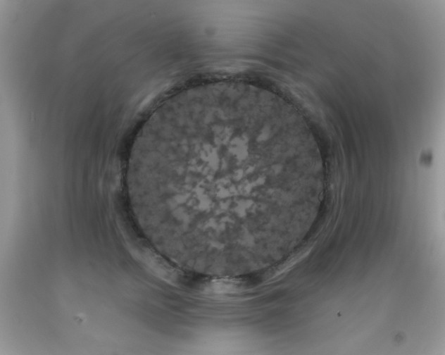 X0000092010758200709061532