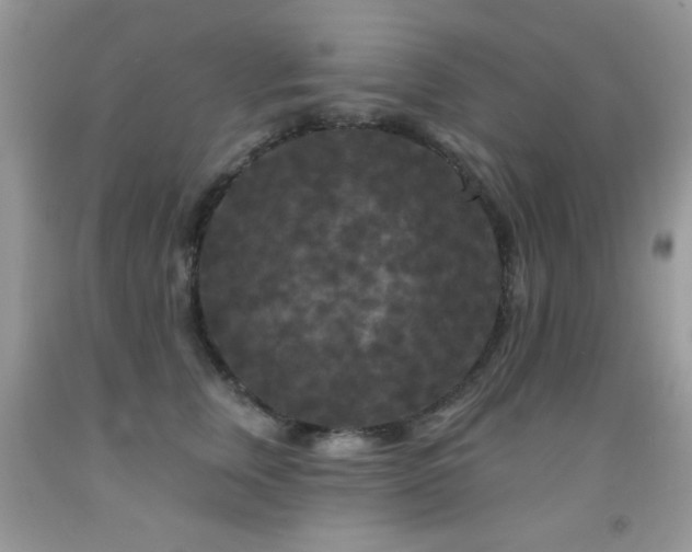 X0000092010759200709061532
