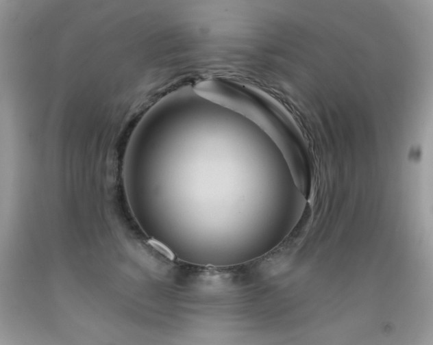 X0000092010760200709061532