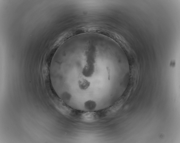 X0000092010761200709061532
