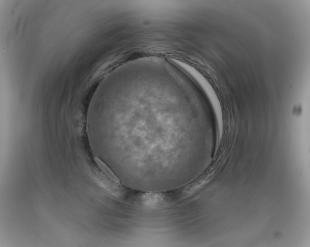 X0000092010762200709061532