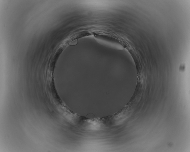X0000092010763200709061532