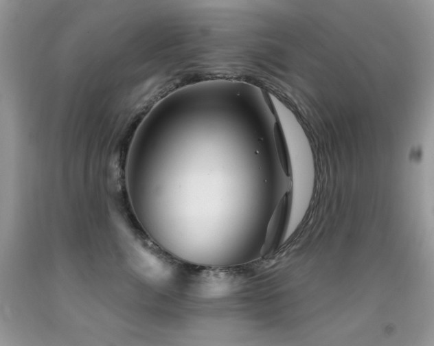 X0000092010764200709061532