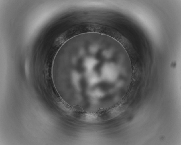 X0000092010765200709061532
