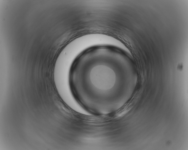 X0000092010766200709061532