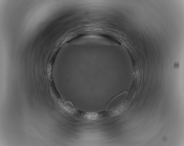 X0000092010767200709061532