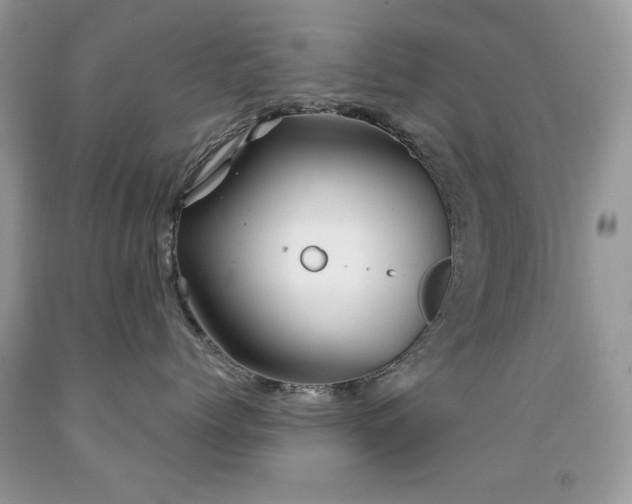 X0000092010768200709061532