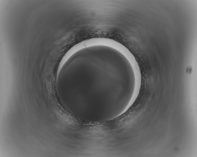 X0000092010769200709061531