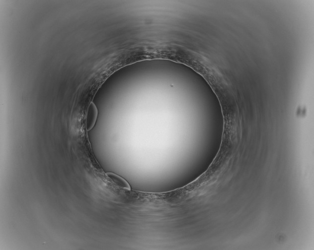 X0000092010770200709061531