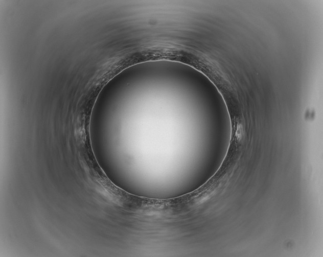 X0000092010771200709061531