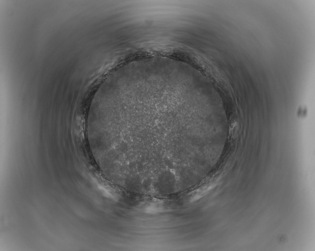 X0000092010772200709061531