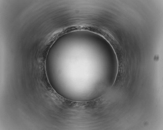 X0000092010773200709061531