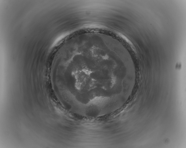 X0000092010775200709061531