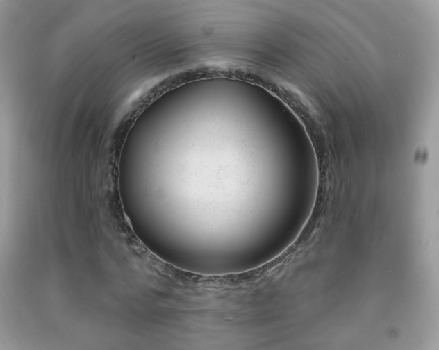 X0000092010776200709061531