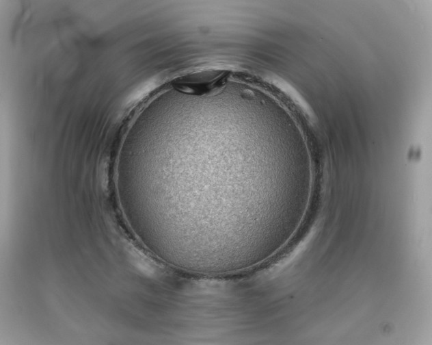 X0000092010777200709061531