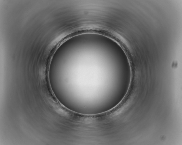 X0000092010778200709061531
