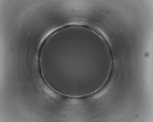 X0000092010779200709061531