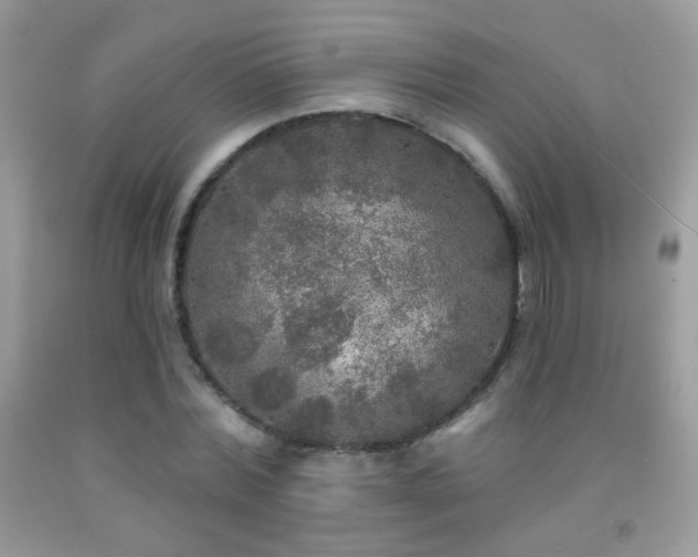 X0000092010780200709061531