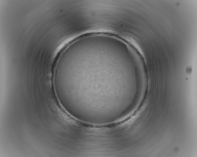 X0000092010781200709061531