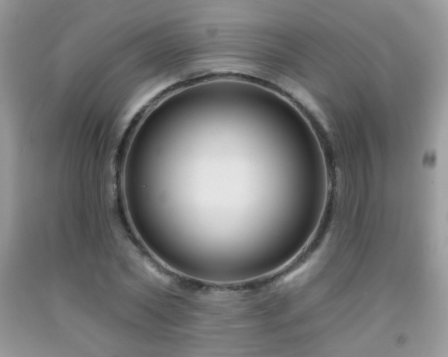 X0000092010782200709061531