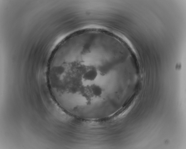 X0000092010783200709061531
