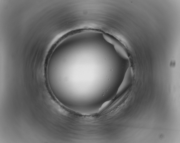 X0000092010784200709061531