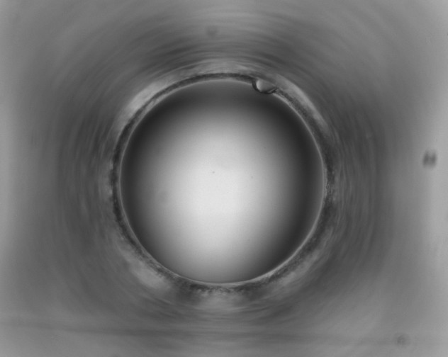 X0000092010786200709061531