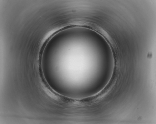 X0000092010787200709061531