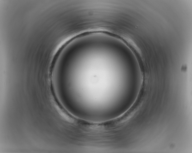 X0000092010789200709061531