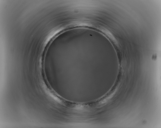 X0000092010790200709061531