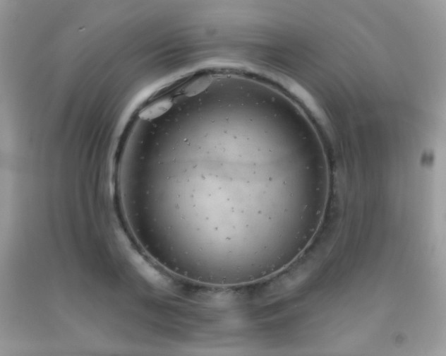 X0000092010791200709061531