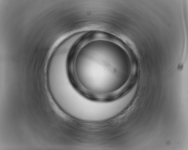 X0000092010792200709061531